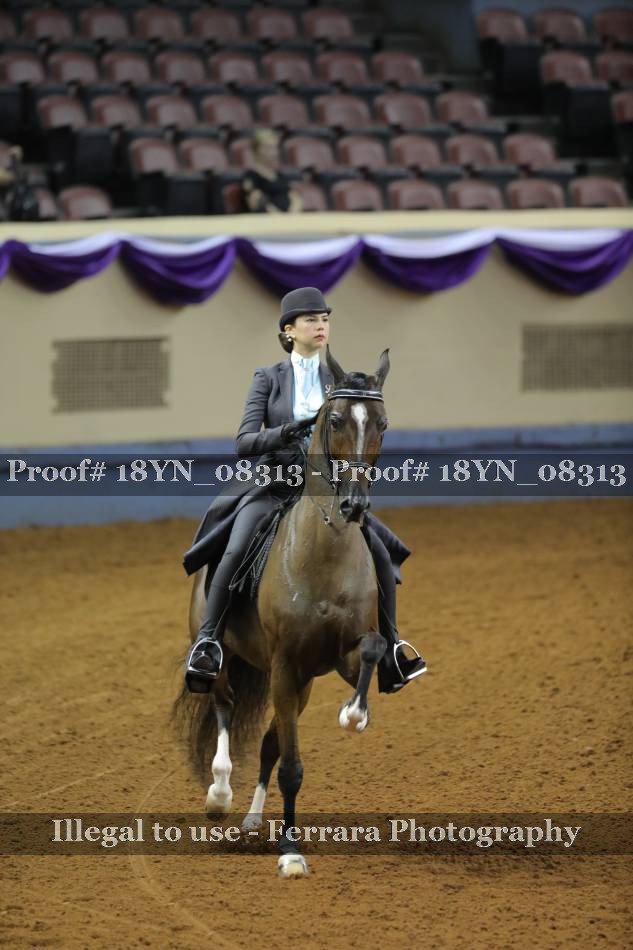 Proof 18YN_08313