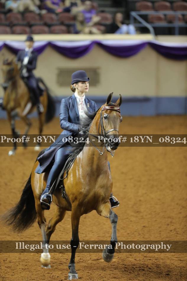 Proof 18YN_08324
