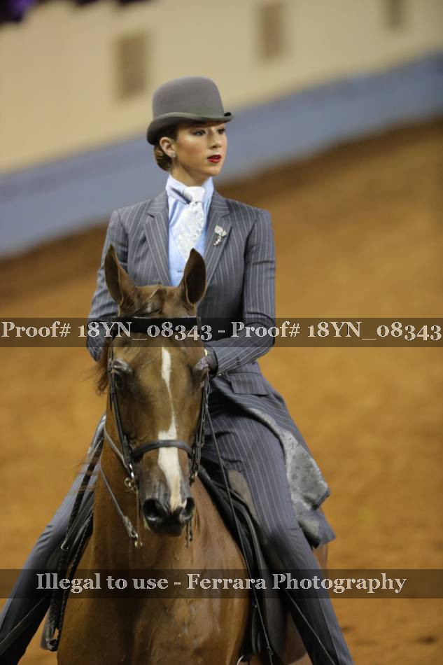 Proof 18YN_08343