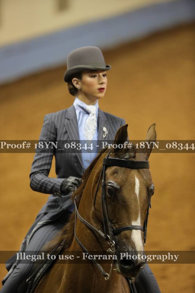 Proof 18YN_08344