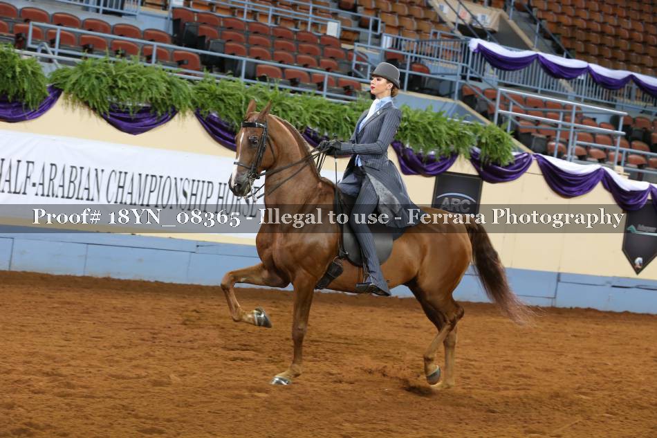 Proof 18YN_08365