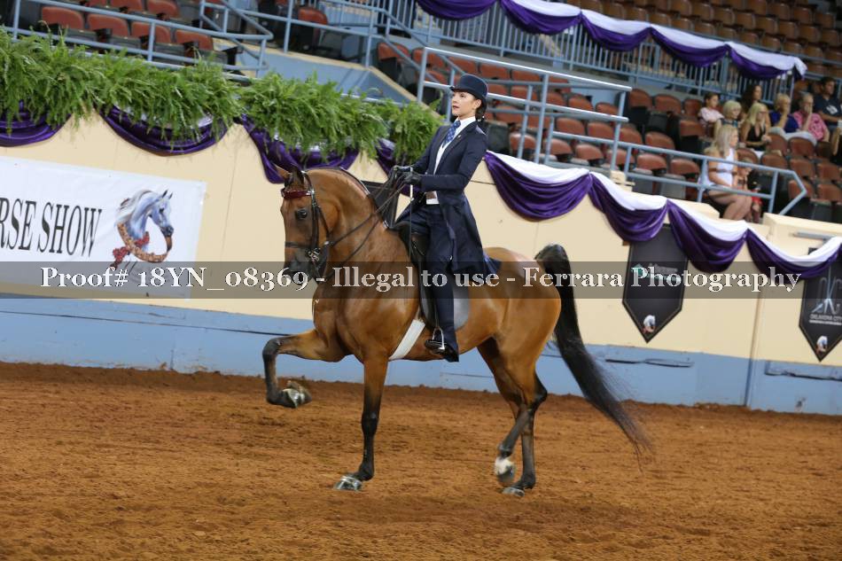 Proof 18YN_08369