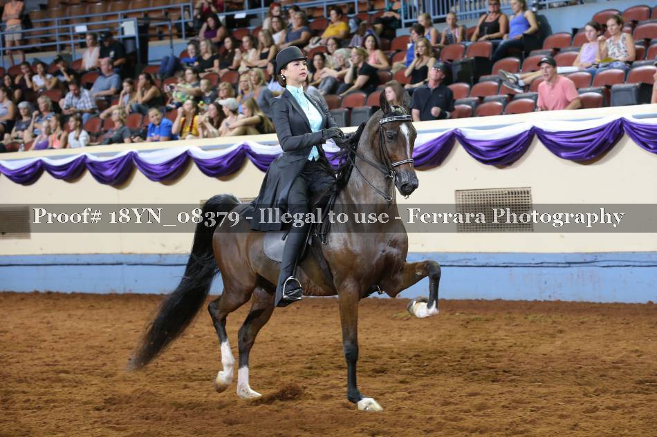 Proof 18YN_08379