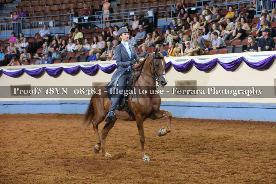 Proof 18YN_08384