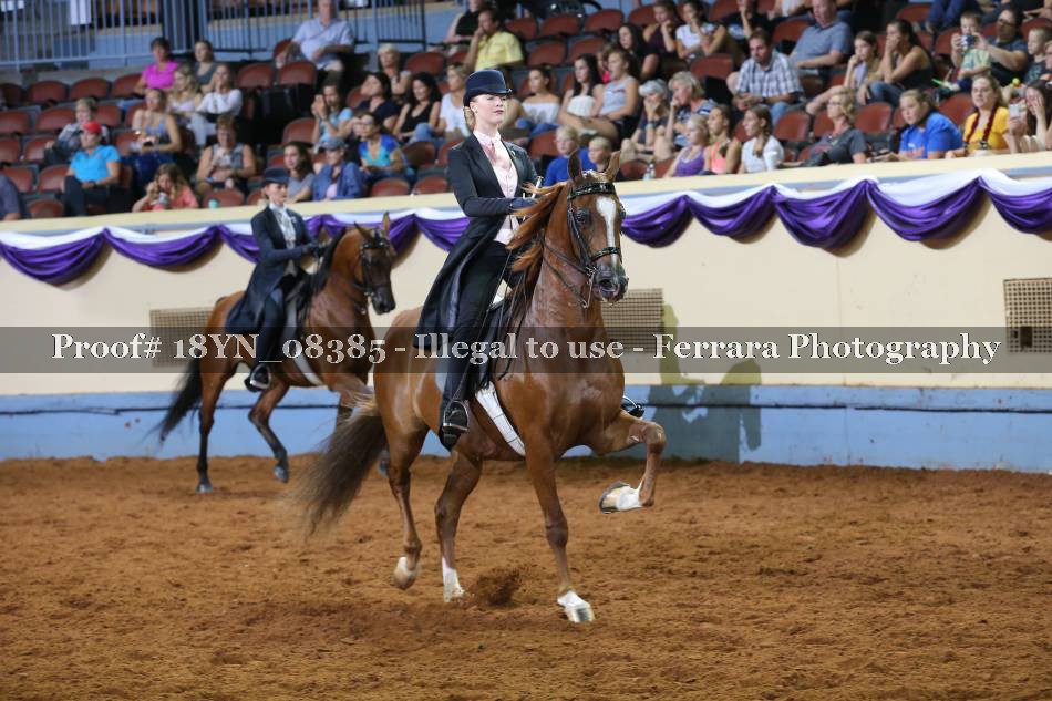Proof 18YN_08385
