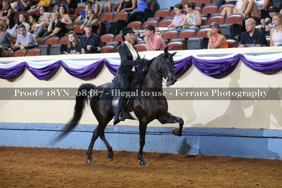 Proof 18YN_08387