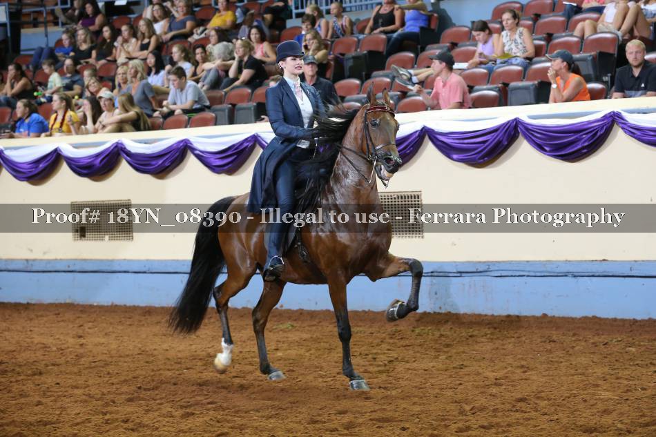 Proof 18YN_08390
