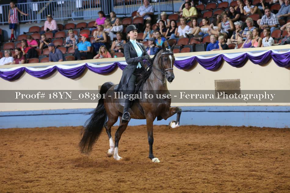 Proof 18YN_08391