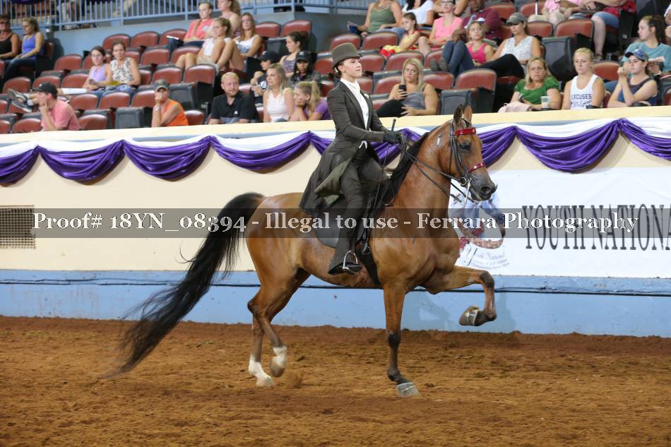 Proof 18YN_08394