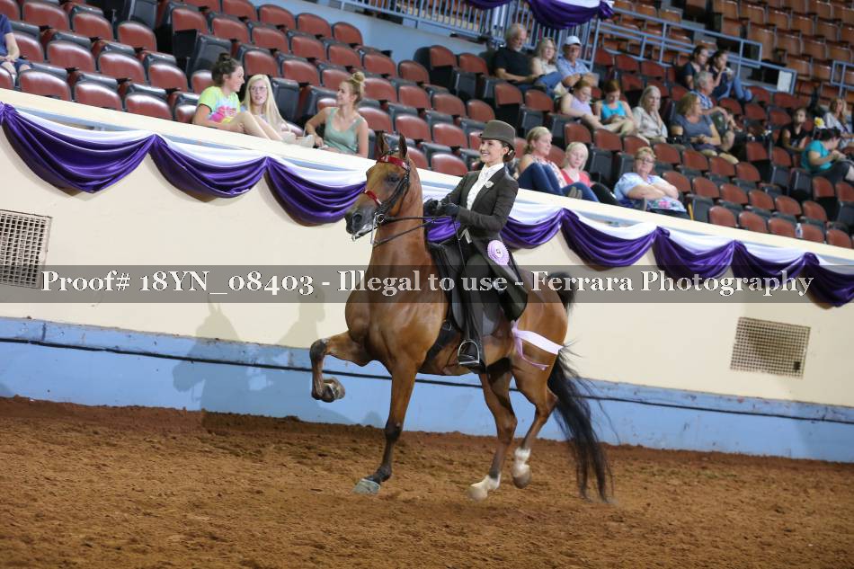 Proof 18YN_08403