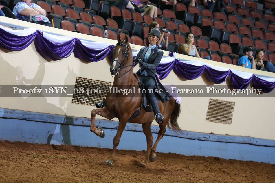 Proof 18YN_08406
