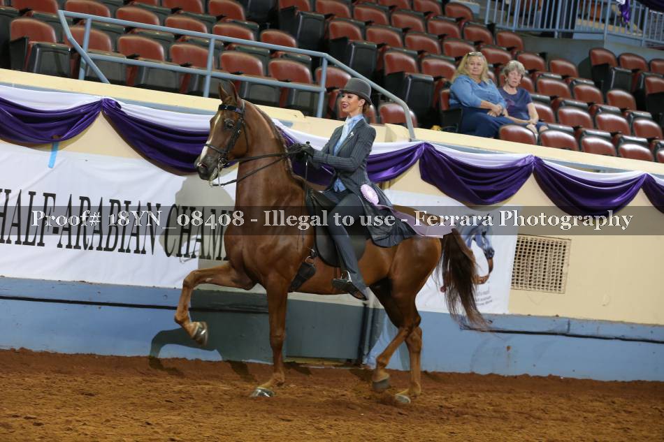 Proof 18YN_08408
