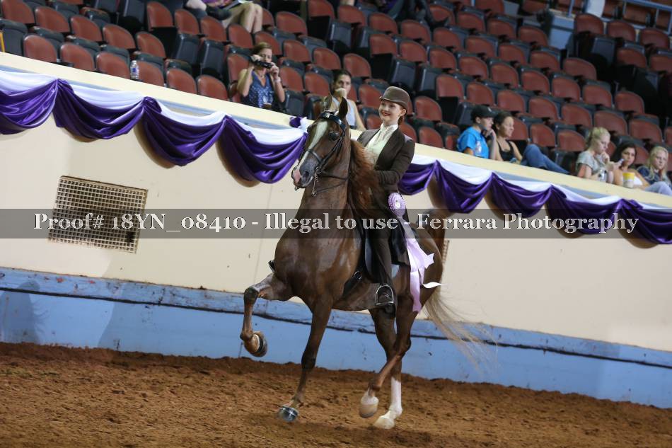 Proof 18YN_08410