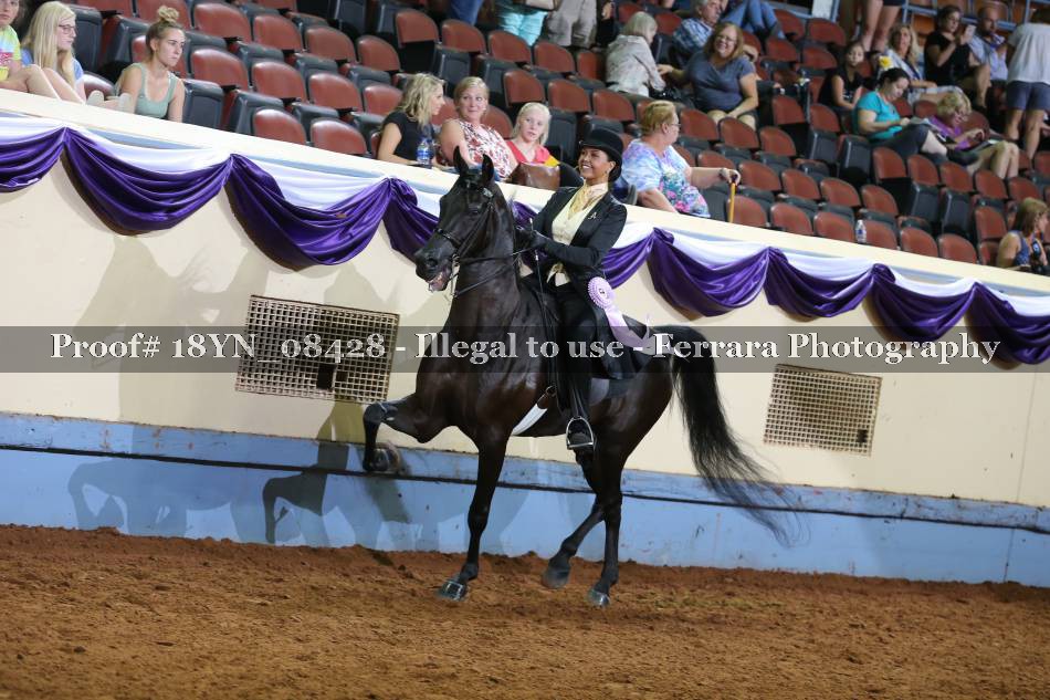 Proof 18YN_08428