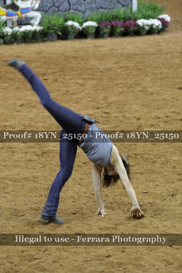 Proof 18YN_25150