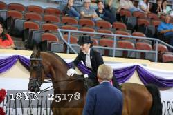 18YN_25178 proof