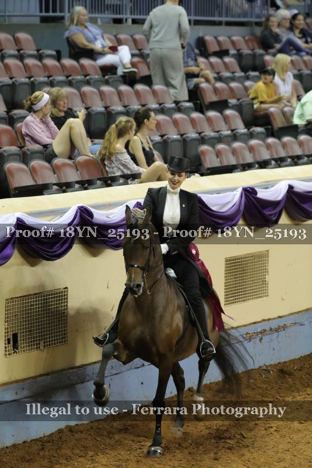 Proof 18YN_25193