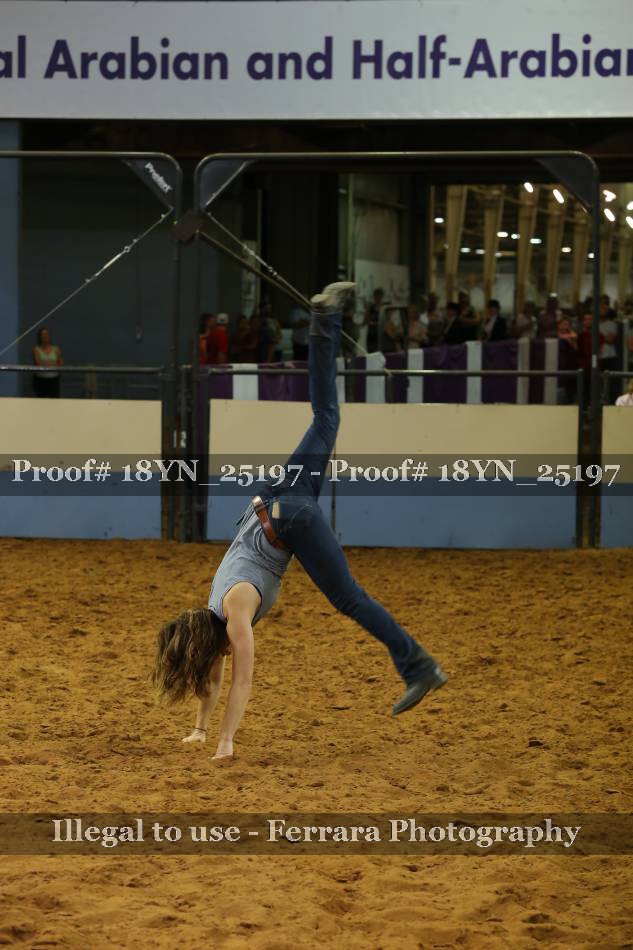 Proof 18YN_25197