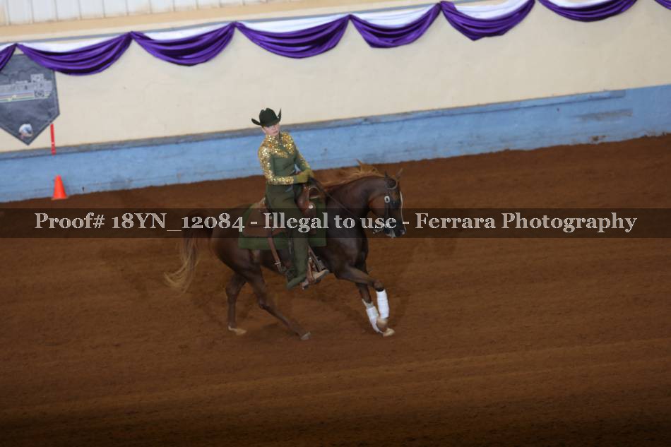 Proof 18YN_12084