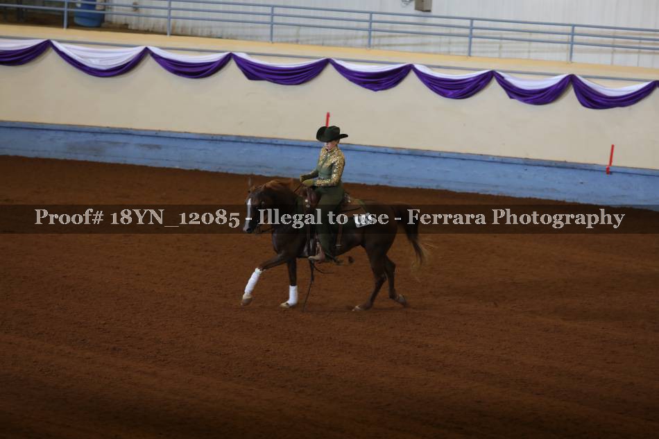 Proof 18YN_12085