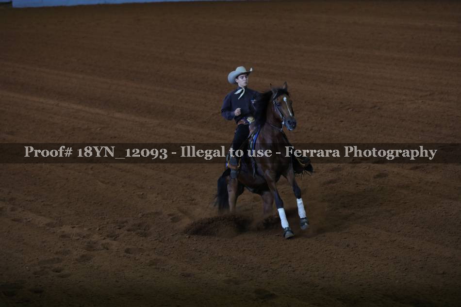 Proof 18YN_12093