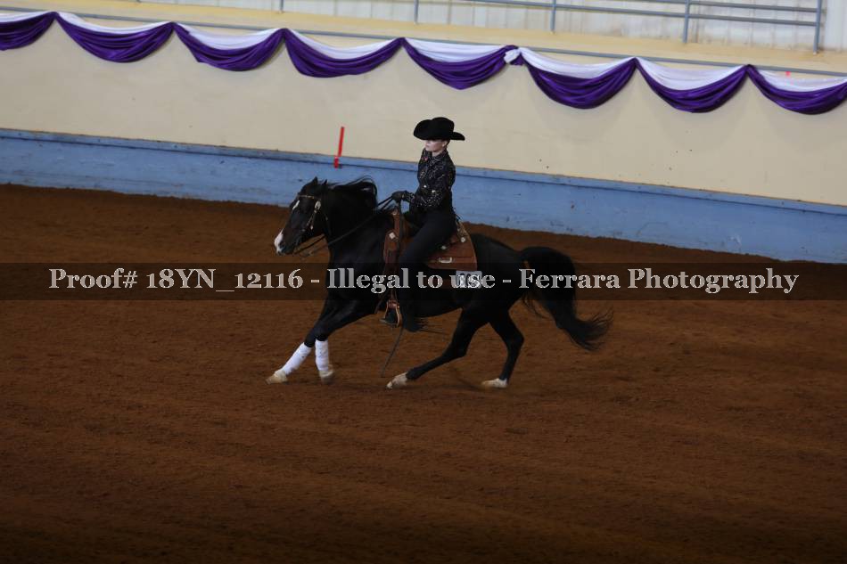 Proof 18YN_12116