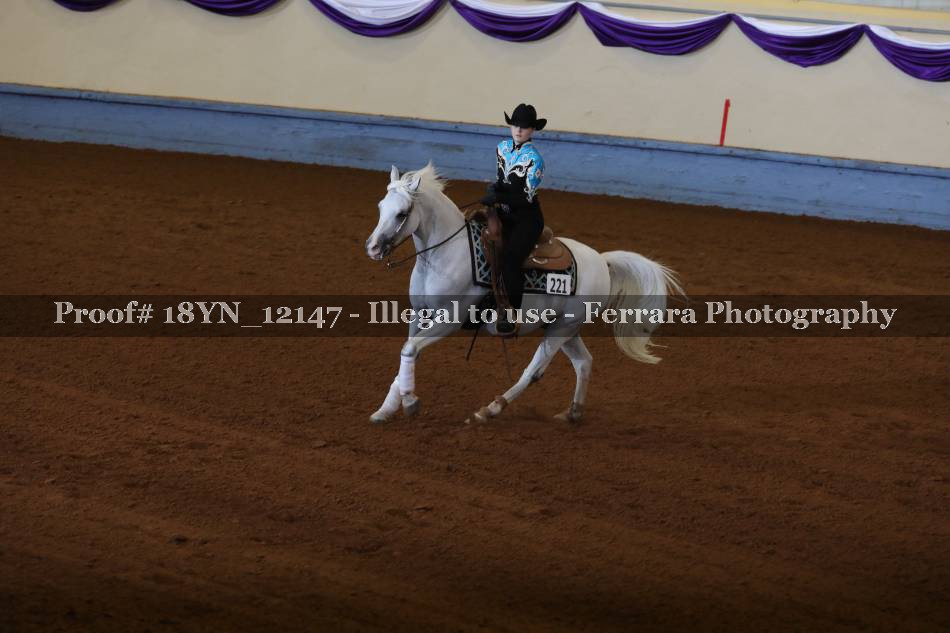 Proof 18YN_12147