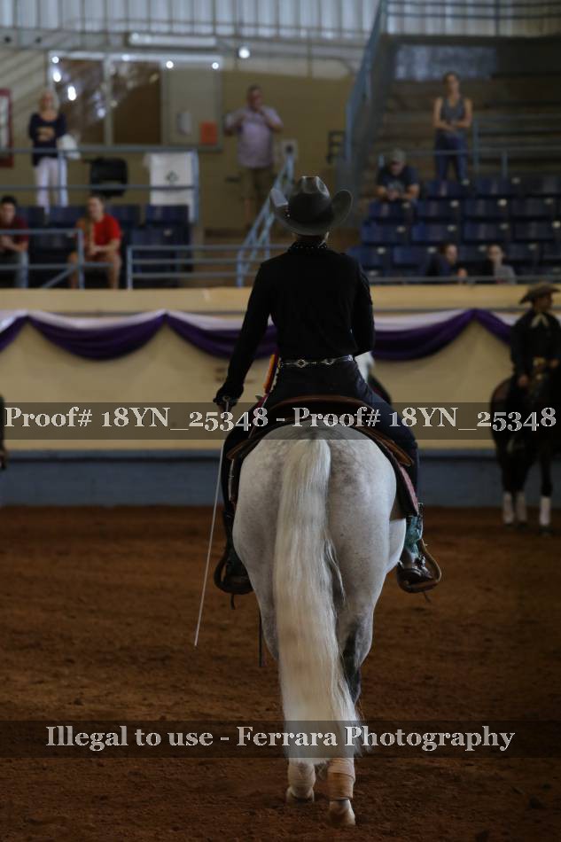Proof 18YN_25348