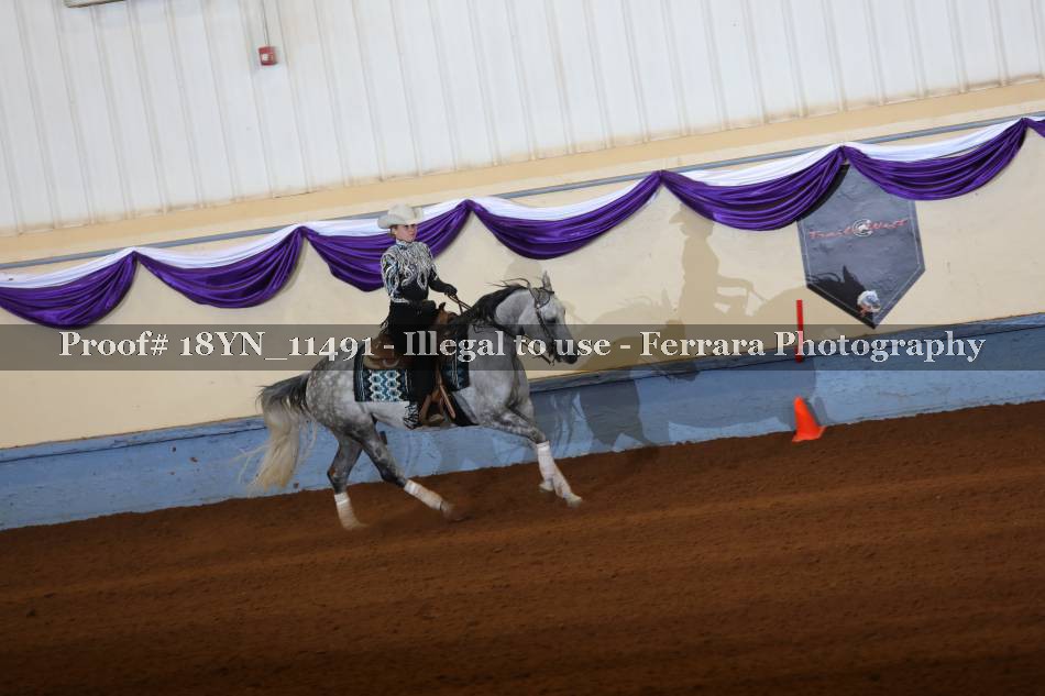 Proof 18YN_11491