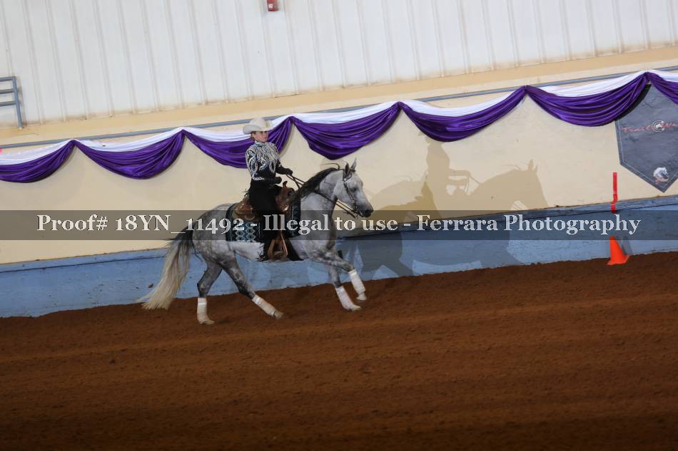 Proof 18YN_11492