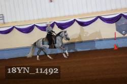 18YN_11492 proof