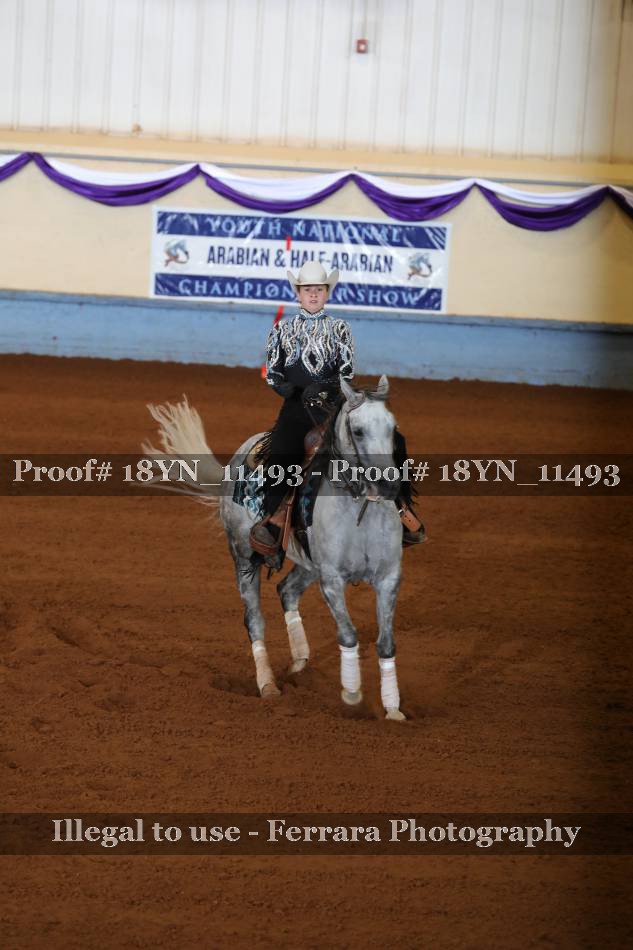 Proof 18YN_11493