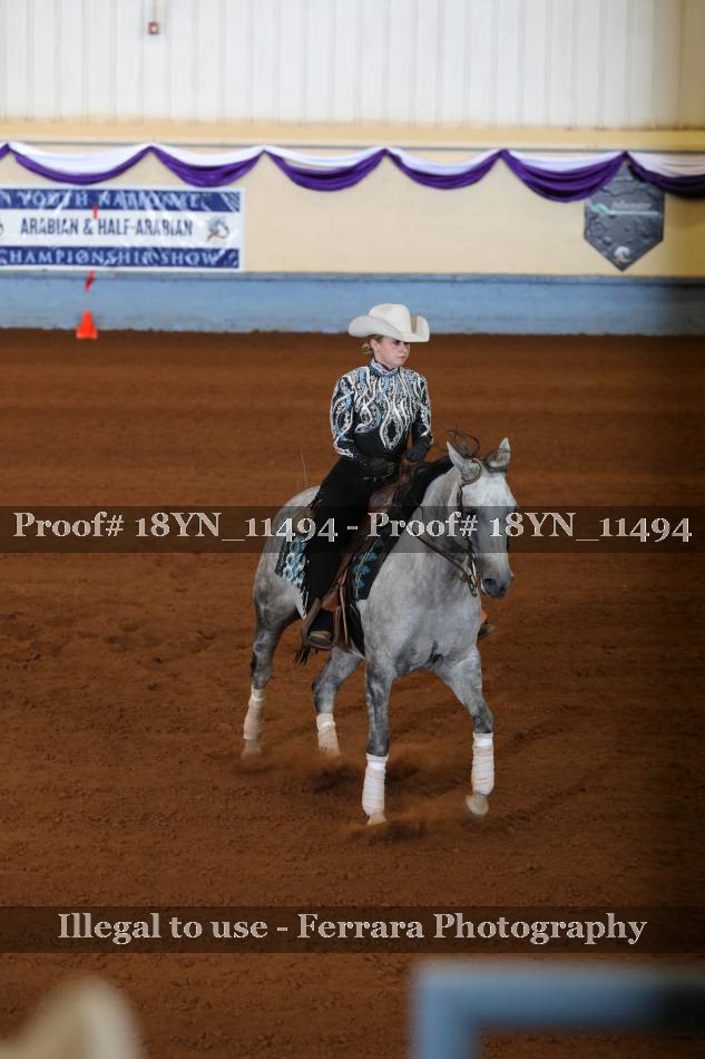 Proof 18YN_11494