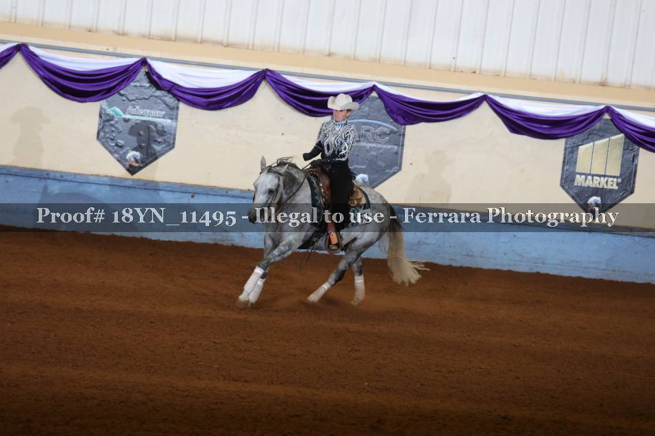 Proof 18YN_11495