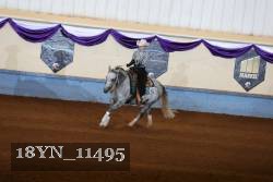 18YN_11495 proof