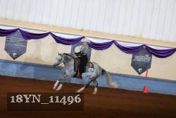 18YN_11496 proof