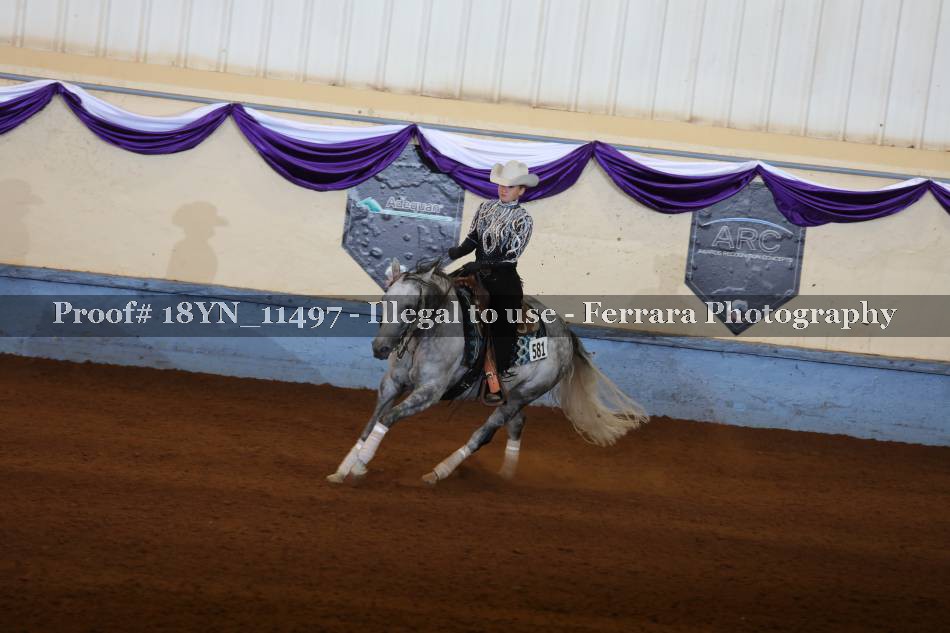 Proof 18YN_11497