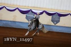 18YN_11497 proof
