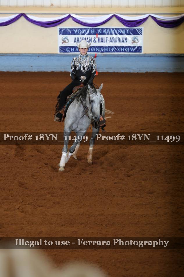 Proof 18YN_11499