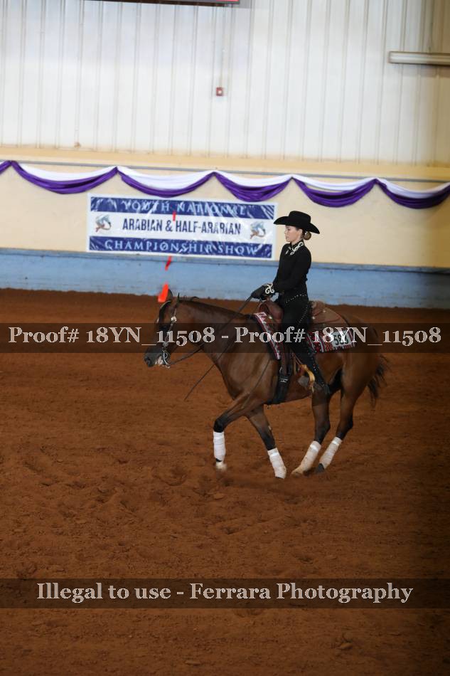 Proof 18YN_11508