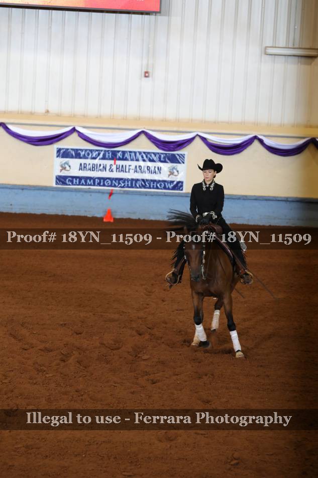 Proof 18YN_11509