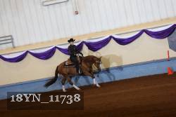 18YN_11738 proof