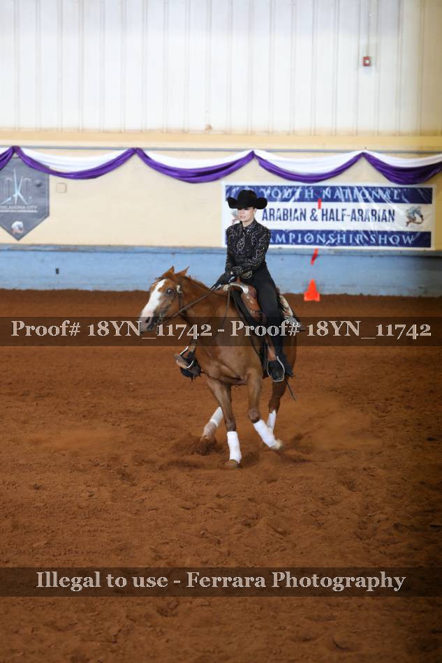 Proof 18YN_11742