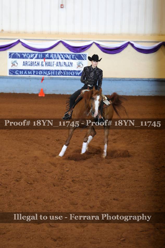 Proof 18YN_11745