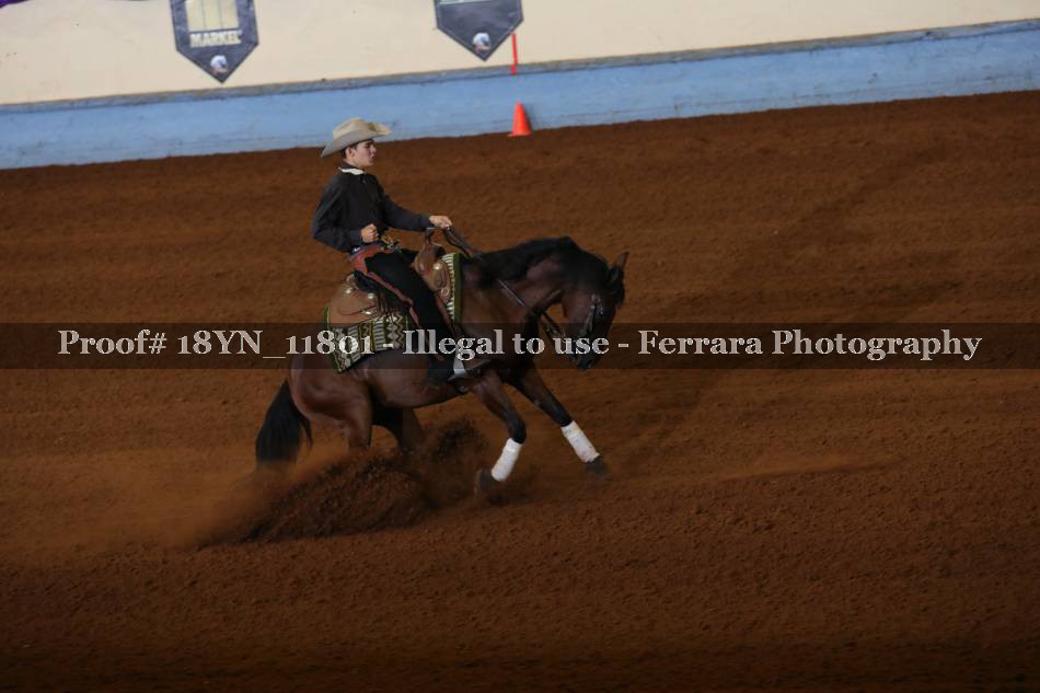 Proof 18YN_11801