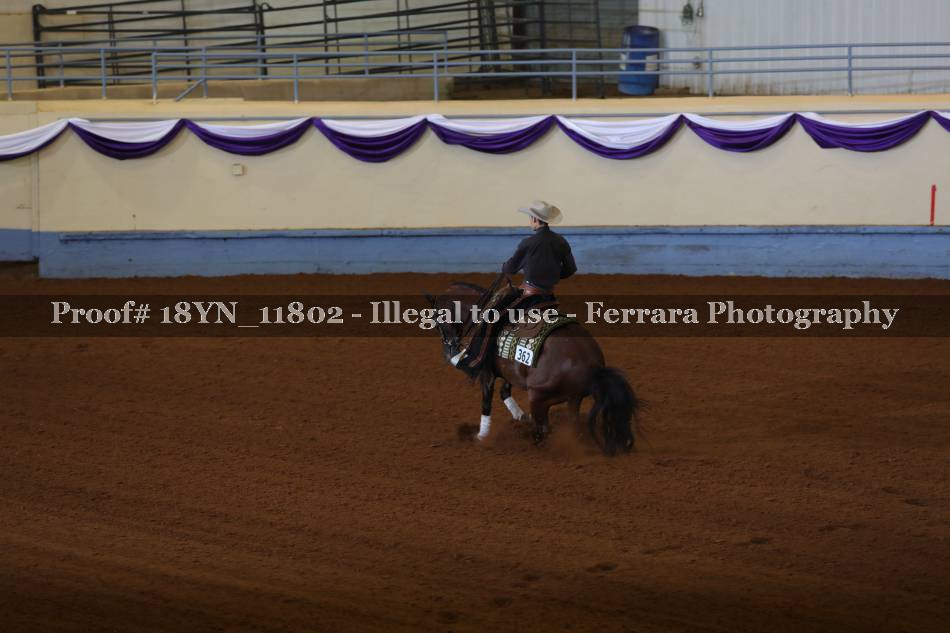 Proof 18YN_11802