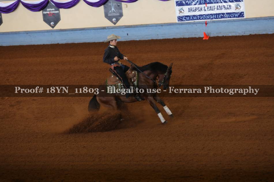 Proof 18YN_11803