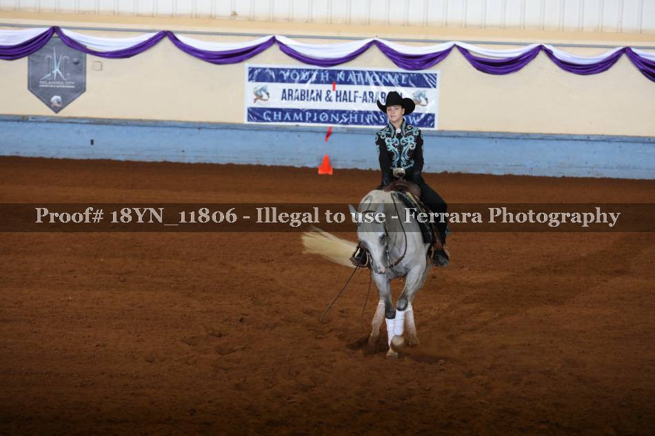 Proof 18YN_11806