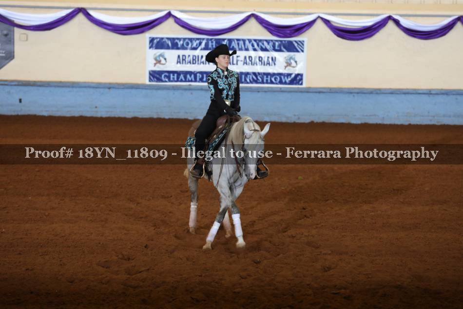 Proof 18YN_11809