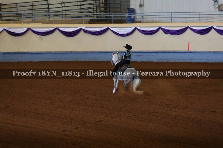 Proof 18YN_11813